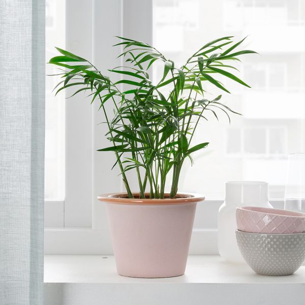 Кашпо, для дома, улицы розовый 9 см IKEA FNITTRIG ФНИТТРИГ 104.795.19 - фото 4