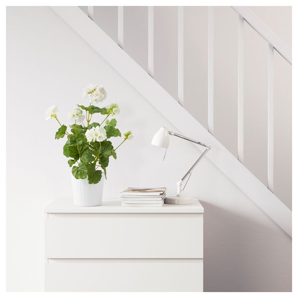 Искусственное растение в горшке ФЕЙКА, Герань разные цвета (12 см) - фото 2