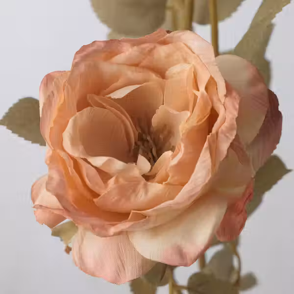 SMYCKA Цветок искусственный - д/дома/улицы/Роза золотисто-коричневый 63 см - схема-чертеж с размерами