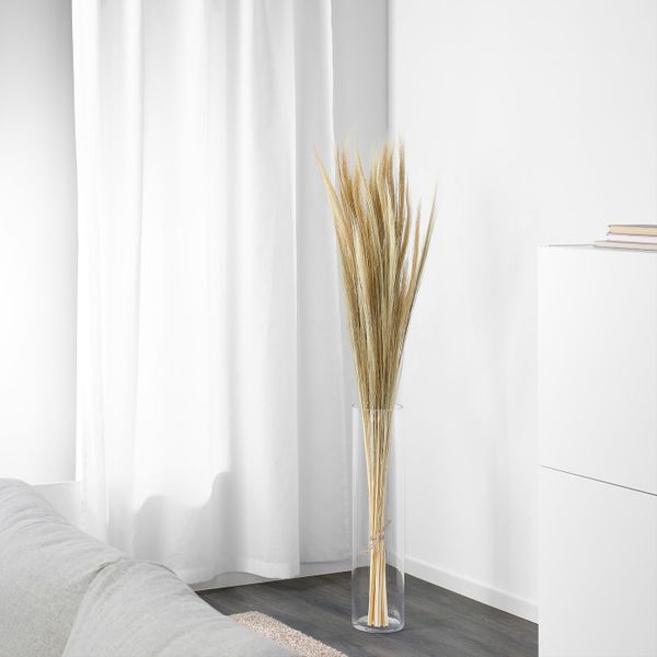 Сухой букет, светло-бежевый 112 см IKEA BEGYNNELSE БЕГЮННЕЛСЕ 605.048.42 - схема-чертеж с размерами