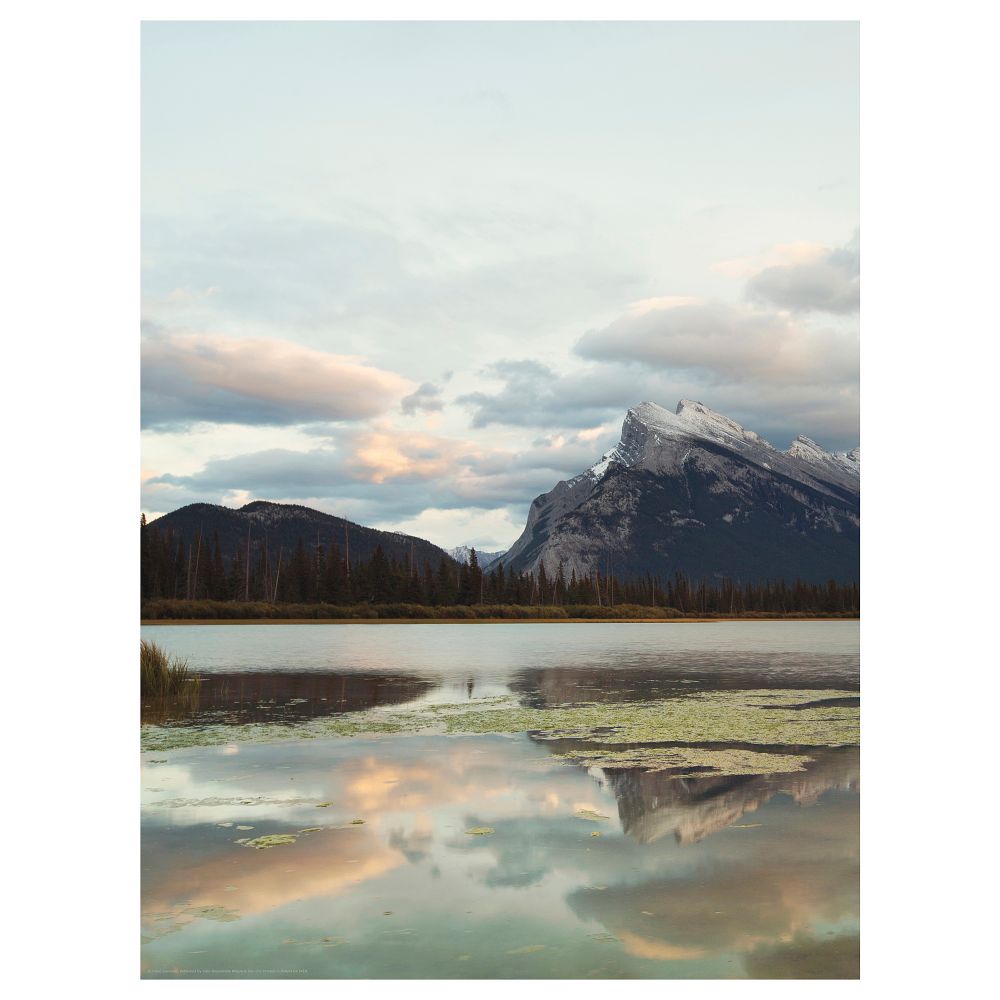 Постер, Облака, 30x40 см IKEA DRÖMBILD ДРЁМБИЛЬД 704.418.73 - фото 1