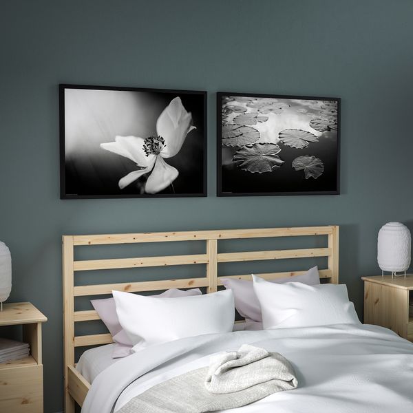 Постер, Лесная жизнь, 70x50 см IKEA DRÖMBILD ДРЁМБИЛЬД 304.418.51 - фото 3