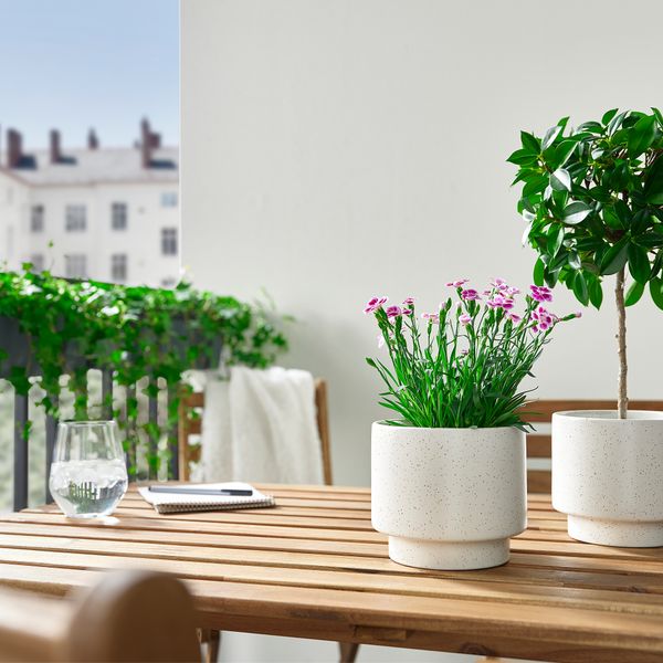 Кашпо, 12 см, для дома, улицы белый с оттенком IKEA DRAKFRUKT ДРАКФРУКТ 005.379.73 - фото 4