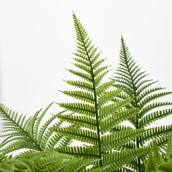 Искусственный букет, для дома, улицы/папоротник зеленый 44 см IKEA HÖSTKVÄLL ХЁСТКВЭЛЛ 704.975.63 - фото 2