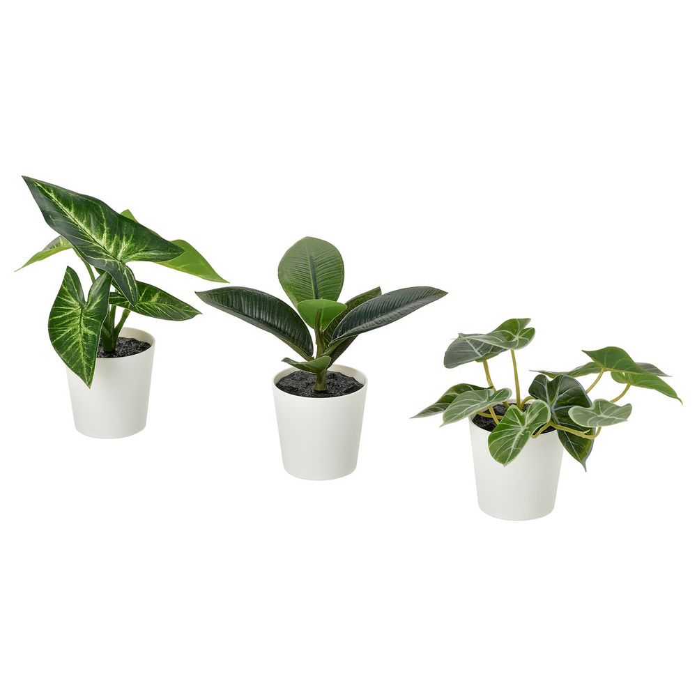 IKEA, вид спереди