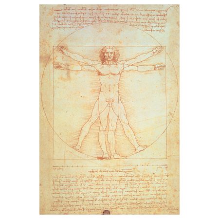 Постер, Витрувианский человек, 61x91 см IKEA DRÖMBILD ДРЁМБИЛЬД 804.418.44