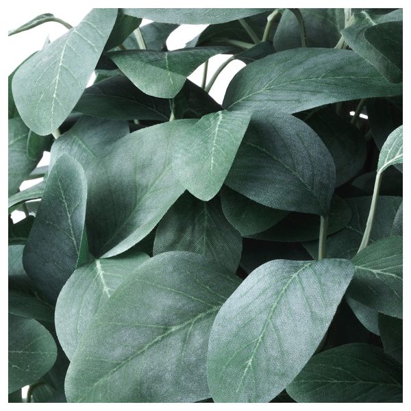 Искусственное растение в горшке ФЕЙКА, д/дома/улицы, эвкалипт стебель (15 см) - схема-чертеж с размерами