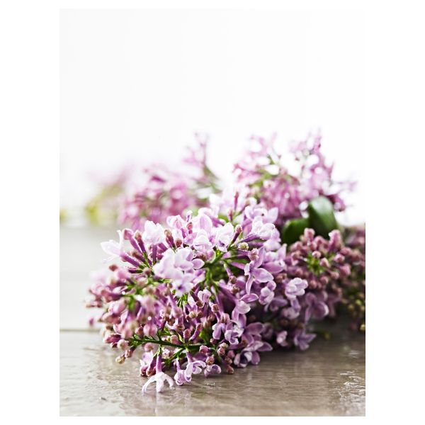 Формовая свеча, ароматическая СИНЛИГ, Цветение, сиреневый (14 см) - фото 2