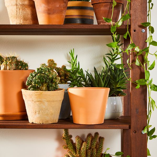 Стеллаж, для сада, 140x35x161 см, коричневая морилка IKEA TORDH ТУРД 393.164.14 - фото 5