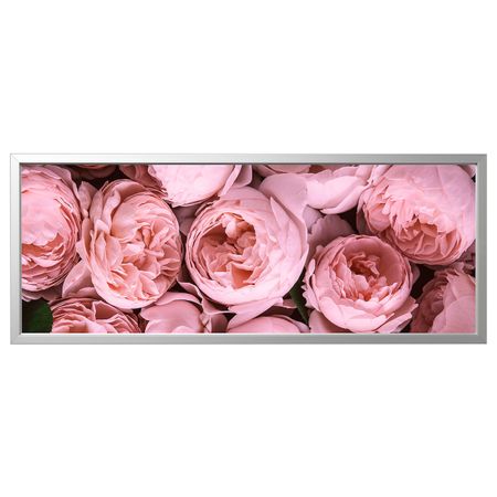 Картина с рамой, Розовый пион/цвет алюминия 140x56 см IKEA BJÖRKSTA БЬЁРКСТА 092.978.36