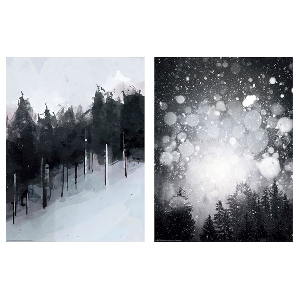 Постер БИЛЬД, Черно-белый лес (30x40 см) - фото 1