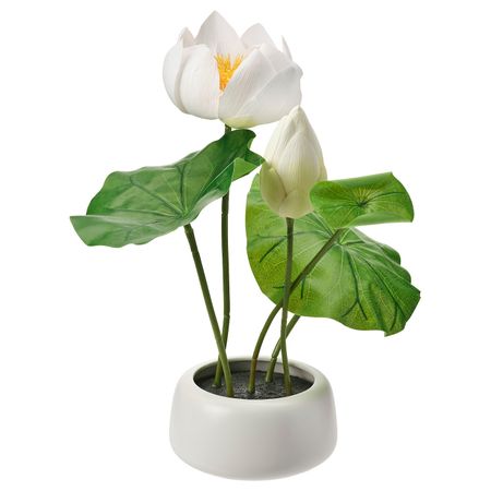 Искусственное растение и кашпо, для дома, улицы/Лотос белый 18 см IKEA ФЕЙКА 504.523.96