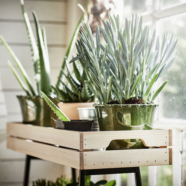 IKEA, дополнительный ракурс