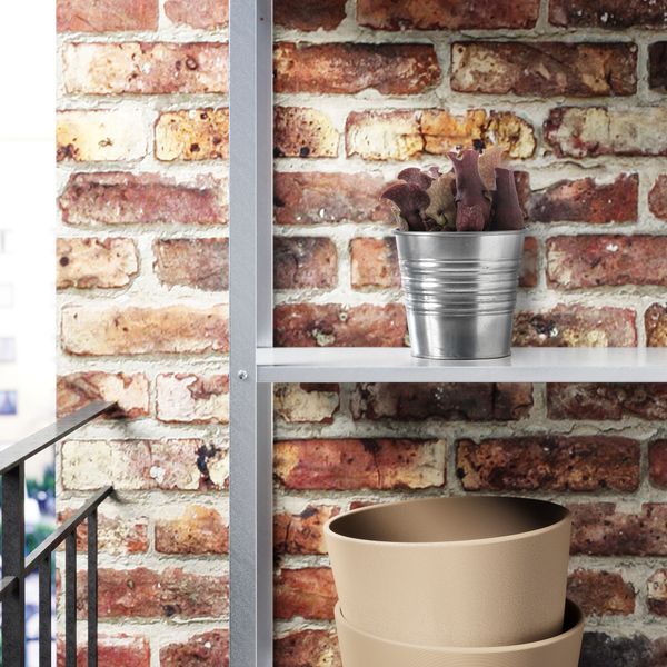 Растение в горшке, насекомоядное различные растения, 12 см IKEA GRÖNSKAN ГРЁНСКАН 302.453.79 - фото 5