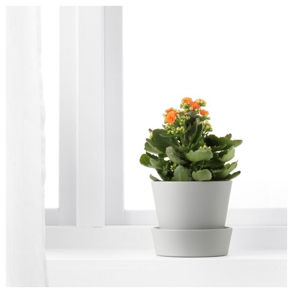 Горшок цветочный с поддоном СЕНАП, серый (12 см) - фото 2