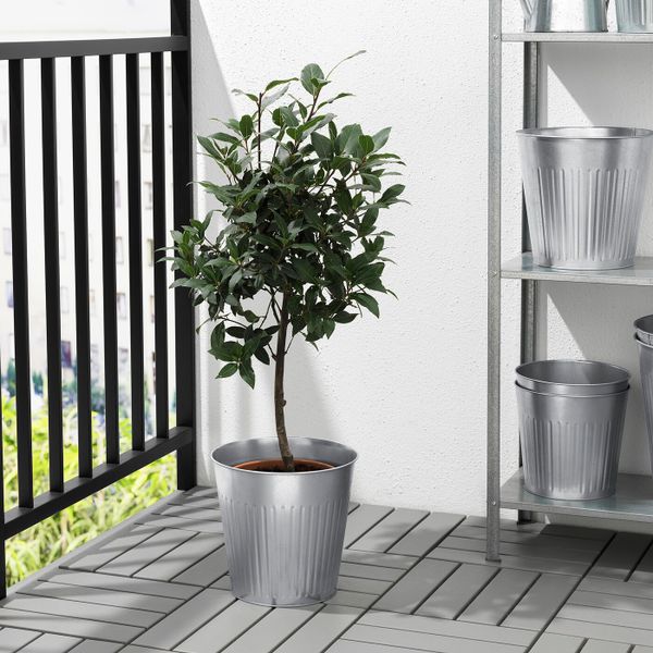 Кашпо, для дома, улицы оцинковка 24 см IKEA ЦИТРОНМЕЛИСС 404.645.02 - фото 3