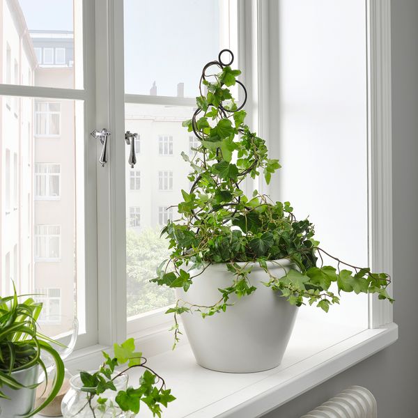 Опора для растения, для дома, улицы черный, 16x50 см IKEA KASKADPIL 905.613.17 - фото 3