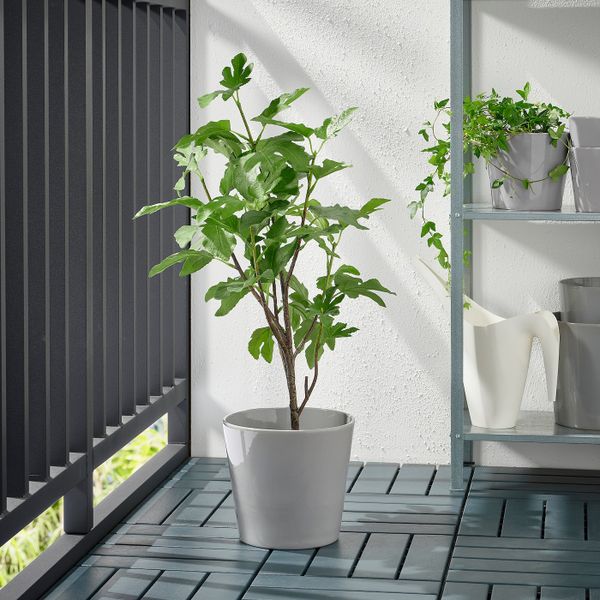 Кашпо, для дома, улицы серый 19 см IKEA SKOGSVINBÄR СКОГСВИНБЭР 605.108.38 - фото 3