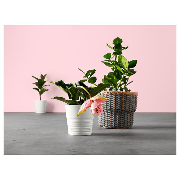 Кашпо, белый 15 см IKEA MUSKOT МУСКОТ 103.781.91 - фото 3