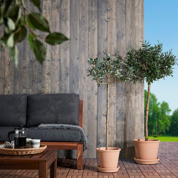 Горшок цветочный с поддоном IKEA MUSKOT МУСКОТBLOMMA МУСКОТБЛОММА 205.387.59 - фото 5