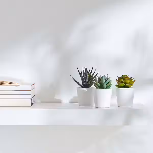 FEJKA Искусственное растение и кашпо - д/дома/улицы Суккулент 6 см 3 шт - схема-чертеж с размерами