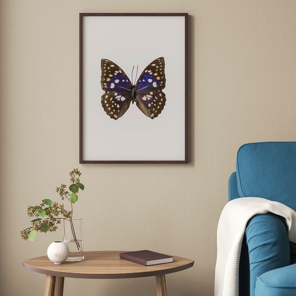 Постер БИЛЬД, Бабочка (40x50 см) - схема-чертеж с размерами