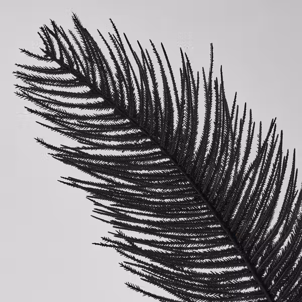 SMYCKA Искусственная ветка - д/дома/улицы/чёрный 65 см - схема-чертеж с размерами