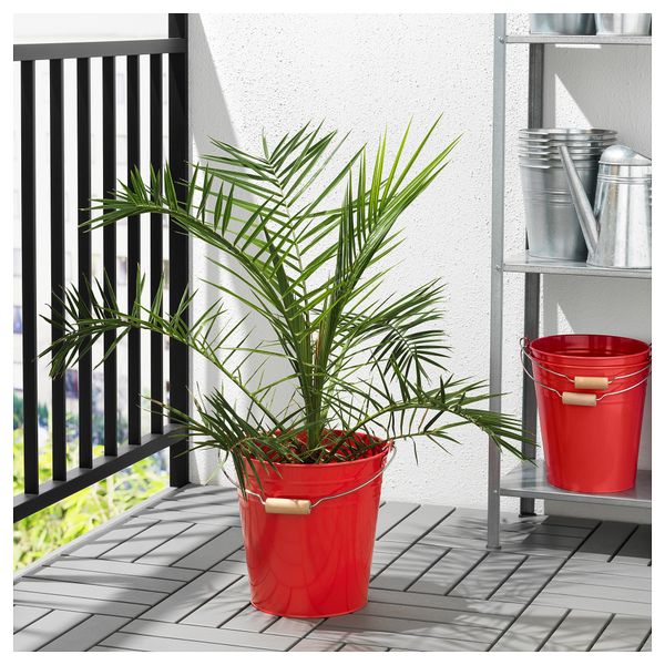 Ведро/горшок СОККЕР, д/дома/улицы, красный - фото 2