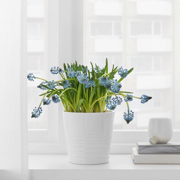 Кашпо, 12 см, белый IKEA MUSKOT 503.081.96 - фото 4