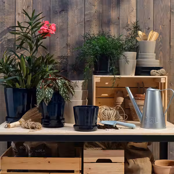 KLOTLÖNN КЛОТЛЁНН Горшок цветочный с поддоном - фото 3