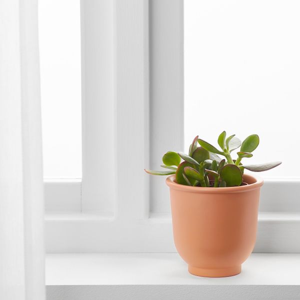 Кашпо, красно-коричневый 9 см IKEA БРИТЭРТ 703.856.31 - фото 2