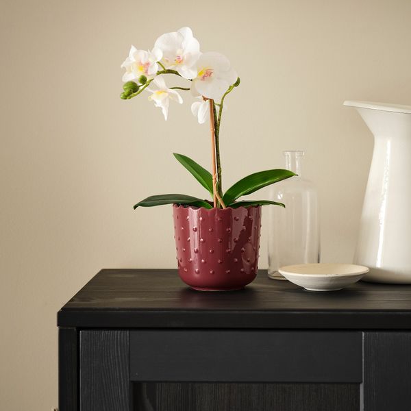 Кашпо, для дома, улицы коричнево-красный, 9 см IKEA SESAMFRÖN СЕСАМФРЁН 005.693.46 - фото 4