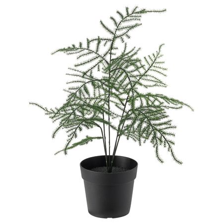 Искусственное растение в горшке, для дома, улицы Аспарагус 9 см IKEA FEJKA ФЕЙКА 304.966.07