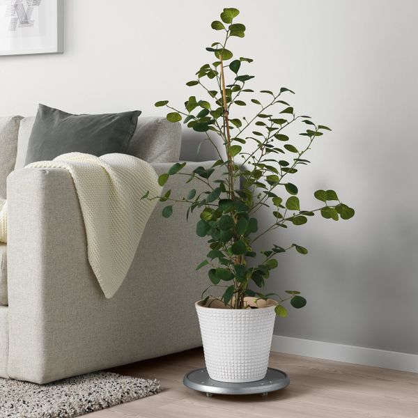 Кашпо, белый 19 см IKEA CHIAFRÖN ЧИАФРЁН 604.419.20 - фото 2