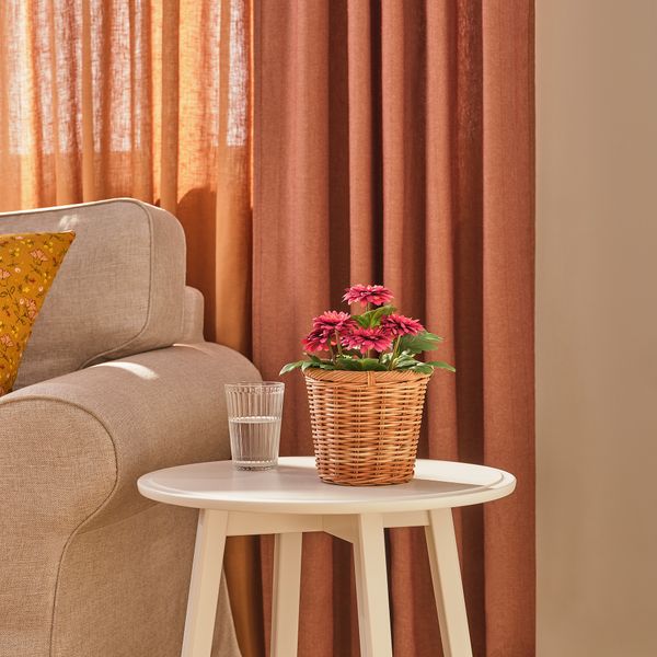 Искусственное растение в горшке, для дома, улицы Хризантема, 12 см IKEA FEJKA ФЕЙКА 005.825.07 - фото 4