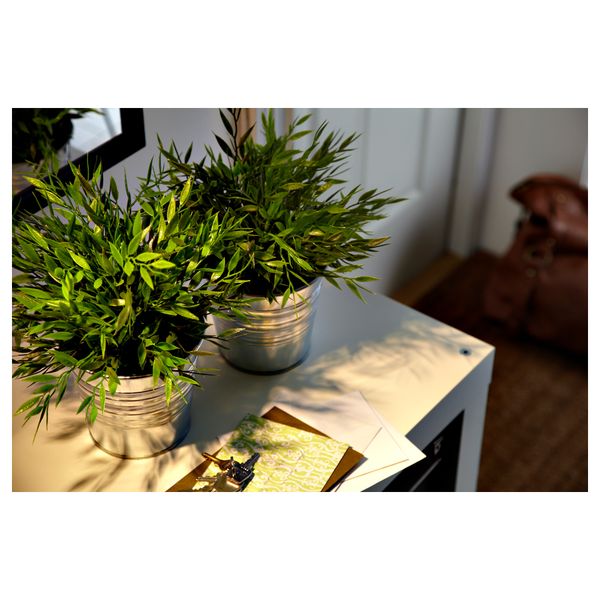 Искусственное растение в горшке ФЕЙКА, Комнатный бамбук (10 см) - схема-чертеж с размерами