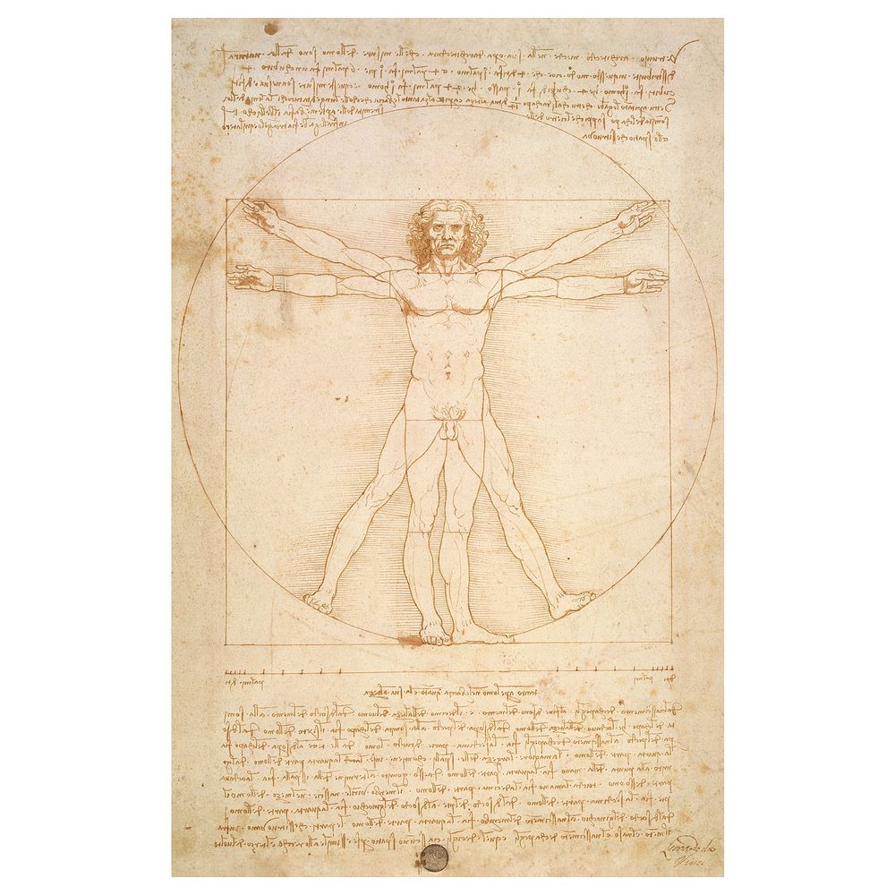 IKEA, вид спереди - схема-чертеж с размерами