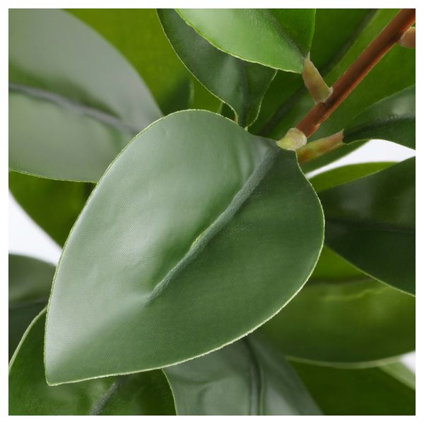 Цветок искусственный СМИККА, Рускус, зеленый (57 см) - схема-чертеж с размерами