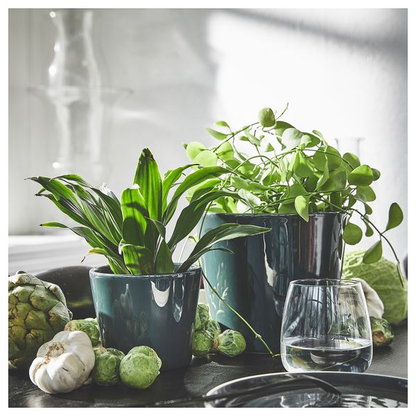 Кашпо, 15 см, для дома, улицы черно-зеленый IKEA SKOGSVINBÄR СКОГСВИНБЭР 205.436.90 - фото 3