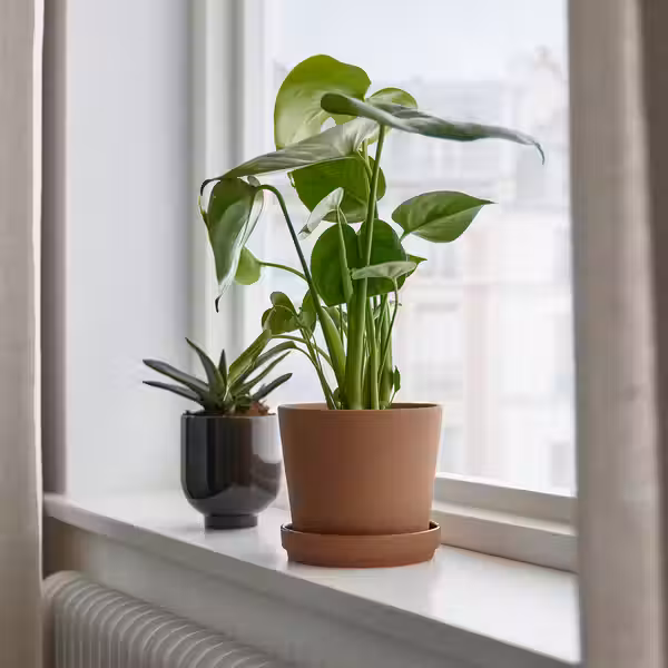 KLARBÄR КЛАРБЭР Горшок цветочный с поддоном - д/дома/улицы коричневый 12 см - фото 6