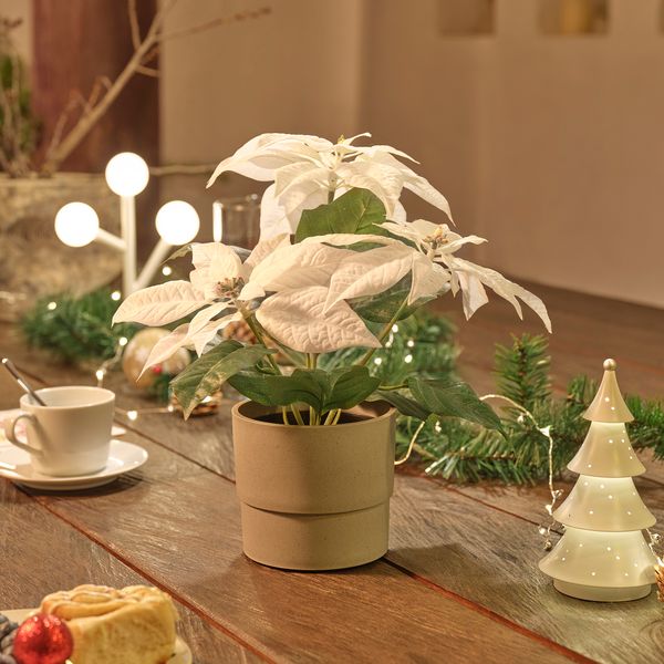 Искусственное растение в горшке IKEA VINTERFINT 205.621.41 - фото 5