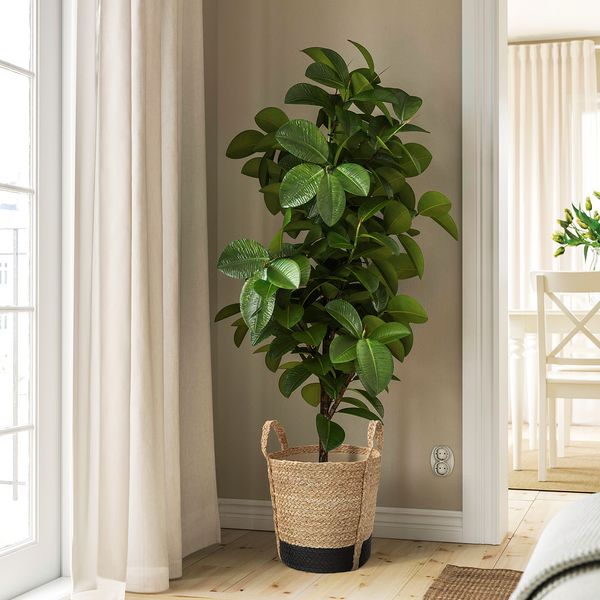 TÄRNMÅS ТЭРНМОС Кашпо - для дома/бежевый/черный 24 см - фото 3