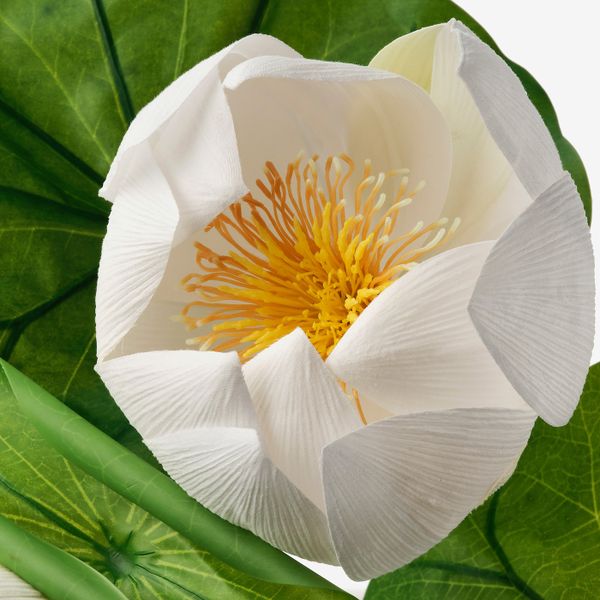 Искусственное растение и кашпо, для дома, улицы/Лотос белый 18 см IKEA ФЕЙКА 504.523.96 - фото 3