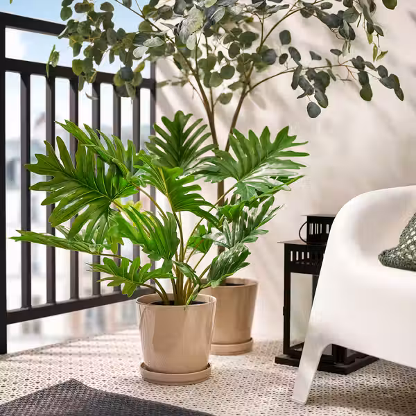 FEJKA Искусственное растение в горшке - д/дома/улицы Филодендрон Ксанаду 19 см - фото 3