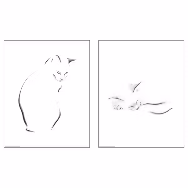 BILD Постер - Набросок кота 40x50 см - фото 1