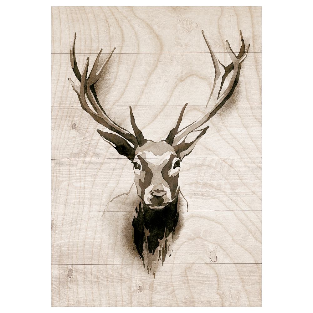 Картина, 70x100 см, Имитация дерева IKEA PJÄTTERYD ПЬЕТТЕРИД 105.365.53 - фото 1