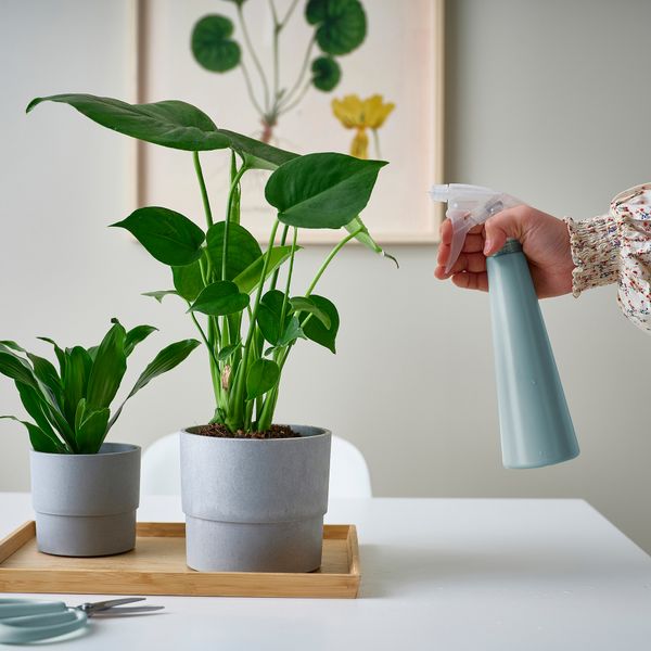 Распылитель, серо-синий светлый, 35 сл IKEA TOMAT ТОМАТ 705.607.81 - фото 3