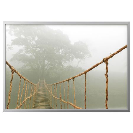 Картина с рамой, 140x100 см, Путешествие в джунгли, цвет алюминия IKEA BJÖRKSTA БЬЁРКСТА 091.733.36
