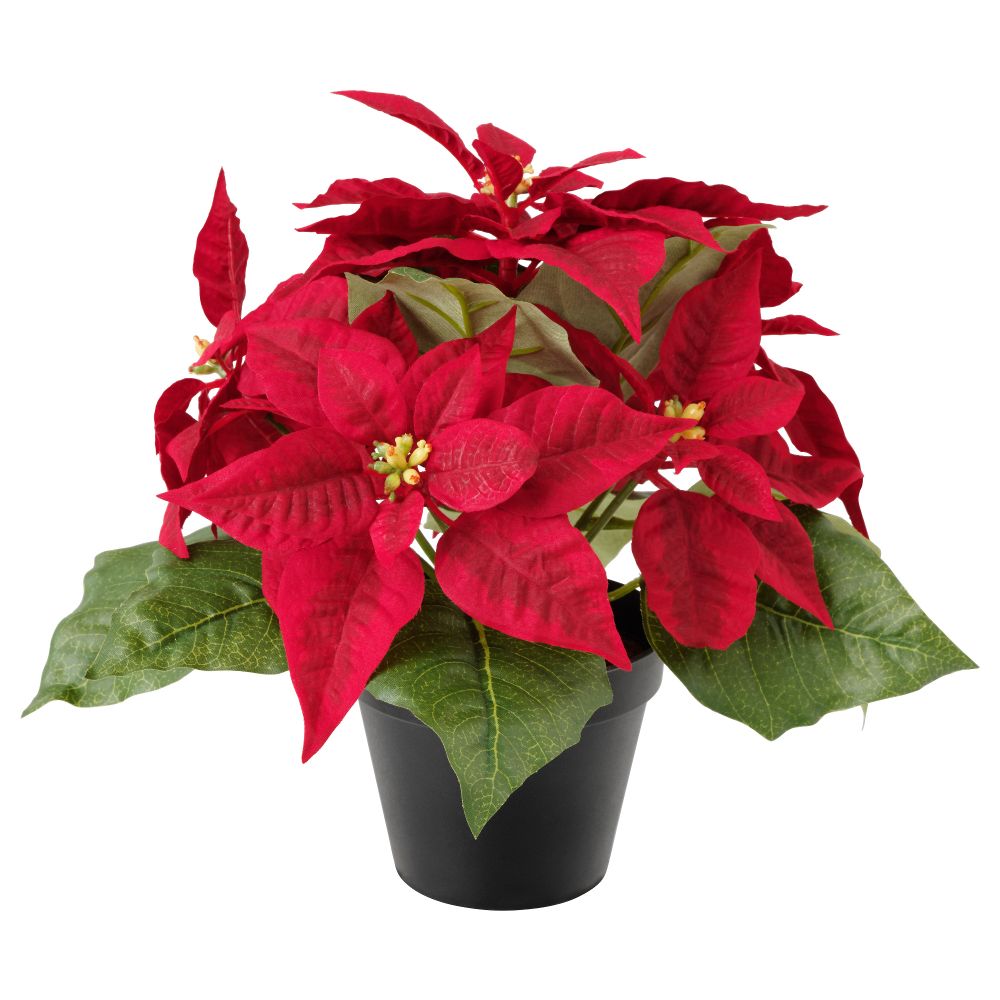 Искусственное растение в горшке ФЕЙКА, "Рождественская звезда" красный (12 см) - фото 1