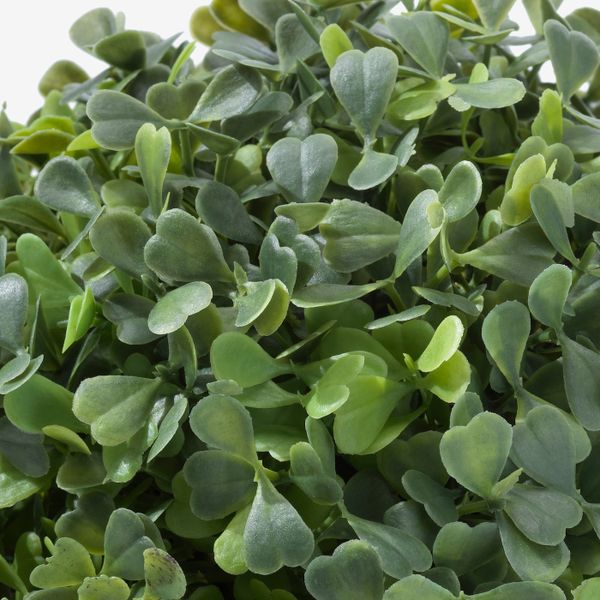 Растение искусственное, для дома, улицы/самшит в форме шара 18 см IKEA FEJKA ФЕЙКА 304.761.00 - схема-чертеж с размерами